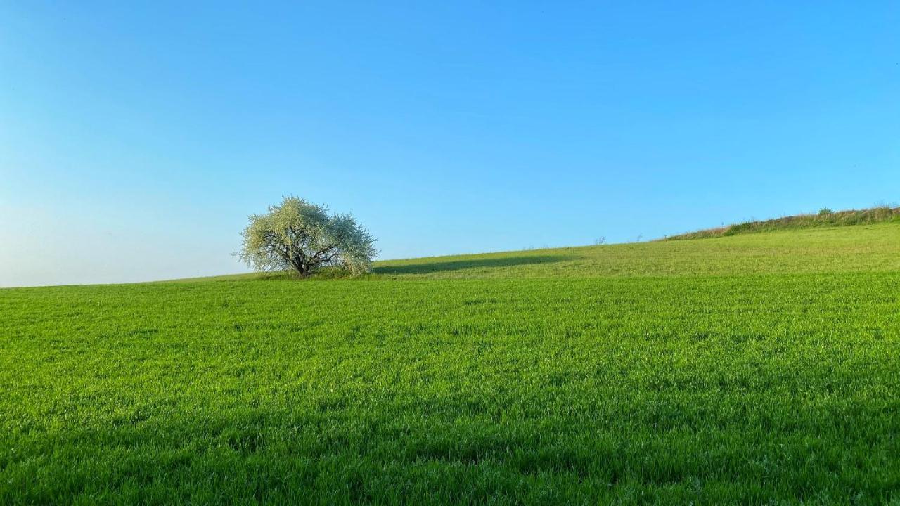 Agriturismo Albana Castiglione Delle Stiviere Ngoại thất bức ảnh